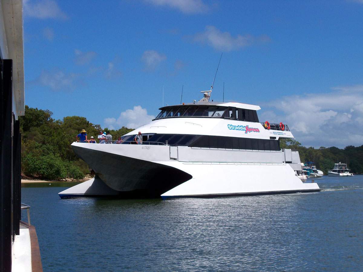 Ein Katamaran der Whalewatcher