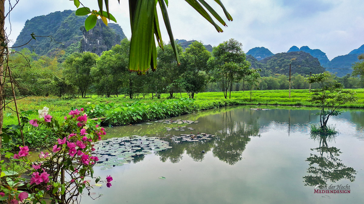 Am Seerosenteich in der Nähe der antiken Kaiserstadt