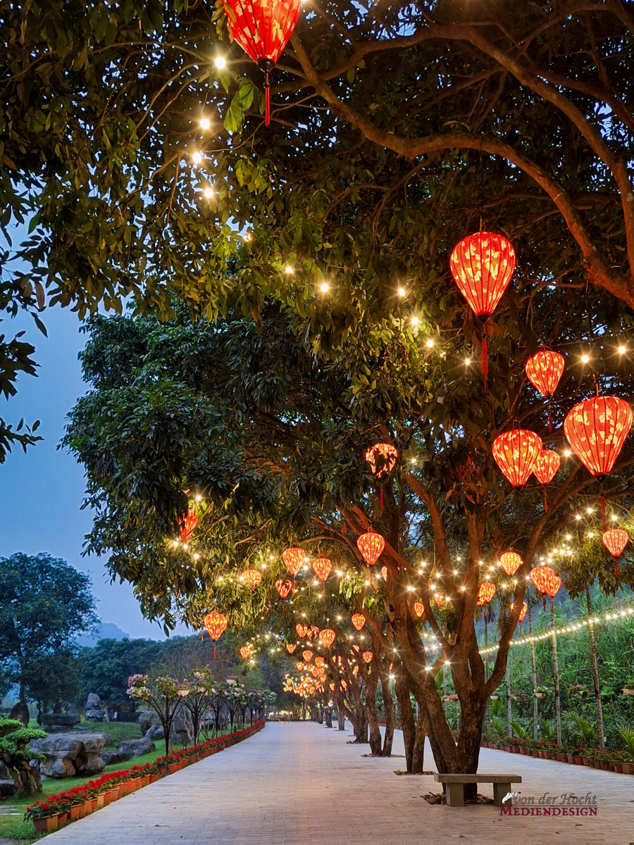 Mit Lampions geschmückte Bäume im Bird Park