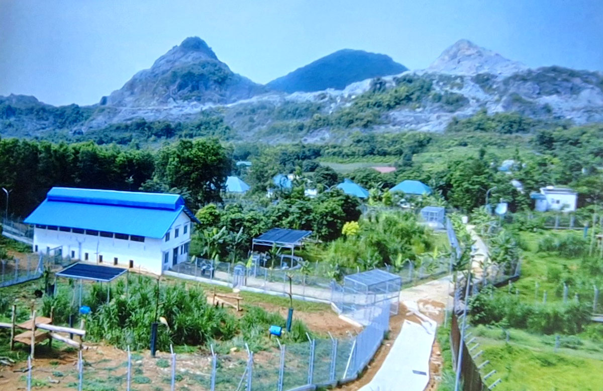 Die Bärenauffangstation